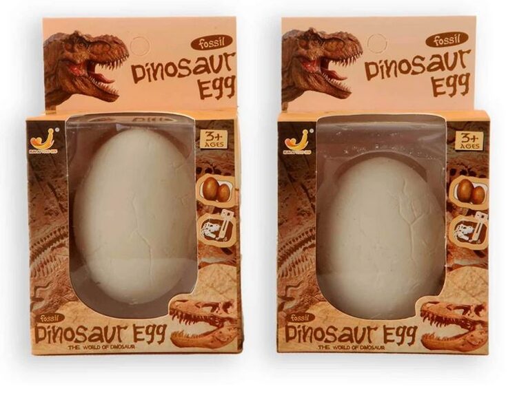 Dinosaur Egg with fossil